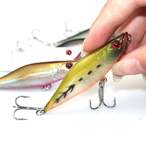 Popper Fishing Lure