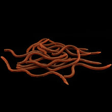 Load image into Gallery viewer, 20PCS Red Simulation Fishing Earthworms