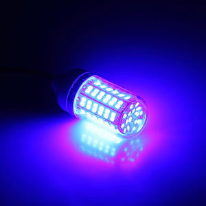 LED Lamp Fish Finding System